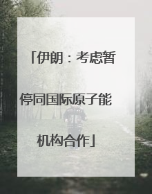 伊朗：考虑暂停同国际原子能机构合作