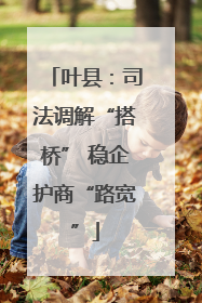 叶县：司法调解“搭桥” 稳企护商“路宽”