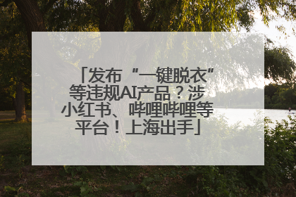 发布“一键脱衣”等违规AI产品？涉小红书、哔哩哔哩等平台！上海出手