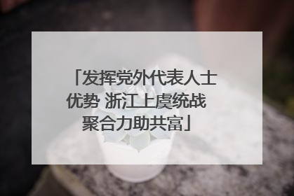 发挥党外代表人士优势 浙江上虞统战聚合力助共富