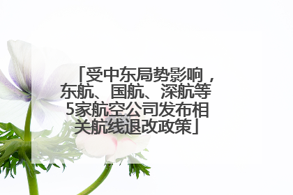受中东局势影响，东航、国航、深航等5家航空公司发布相关航线退改政策