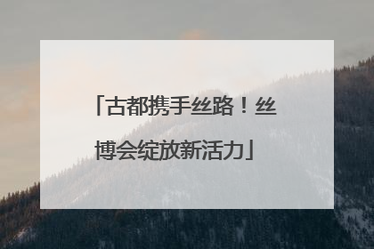 古都携手丝路！丝博会绽放新活力
