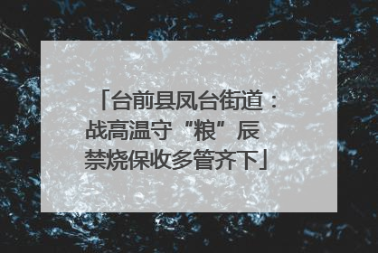 台前县凤台街道：战高温守“粮”辰 禁烧保收多管齐下