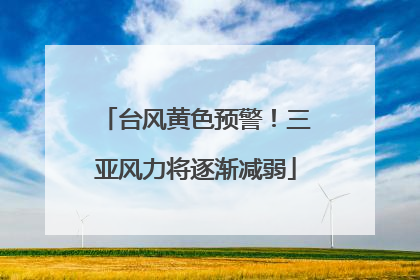台风黄色预警！三亚风力将逐渐减弱