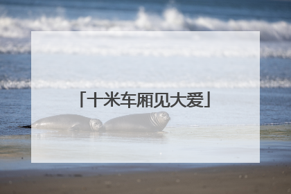 十米车厢见大爱