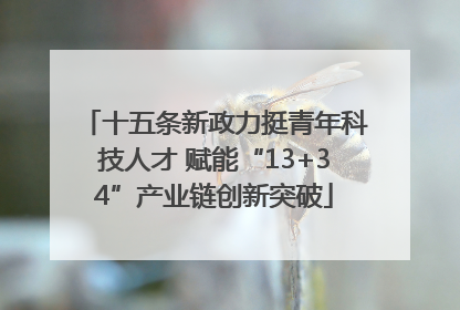 十五条新政力挺青年科技人才 赋能“13+34”产业链创新突破