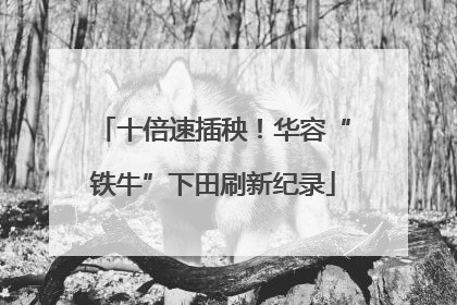 十倍速插秧！华容“铁牛”下田刷新纪录