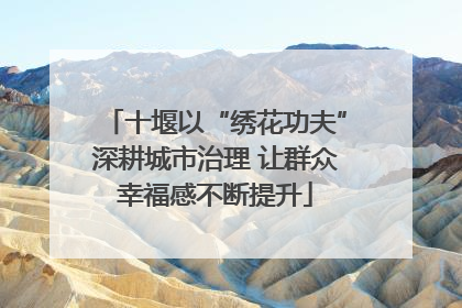 十堰以“绣花功夫”深耕城市治理 让群众幸福感不断提升