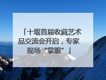 十堰首届收藏艺术品交流会开启，专家现场“掌眼”