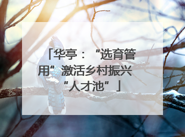 华亭：“选育管用”激活乡村振兴“人才池”