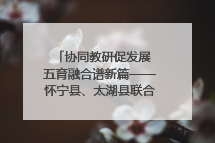 协同教研促发展 五育融合谱新篇——怀宁县、太湖县联合教研活动在月山镇中心学校成功举办