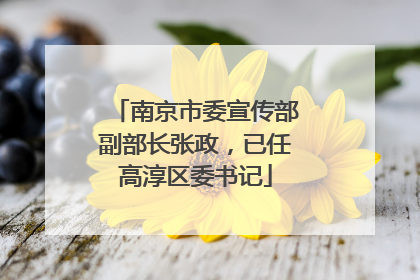 南京市委宣传部副部长张政，已任高淳区委书记