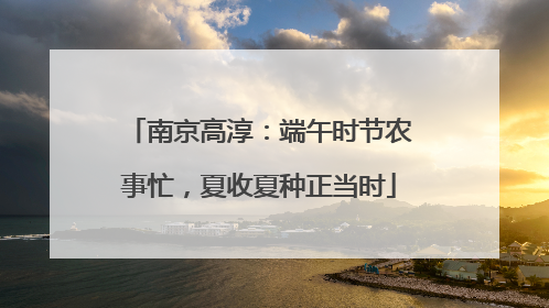 南京高淳：端午时节农事忙，夏收夏种正当时