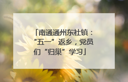 南通通州东社镇：“五一”返乡，党员们“归巢”学习