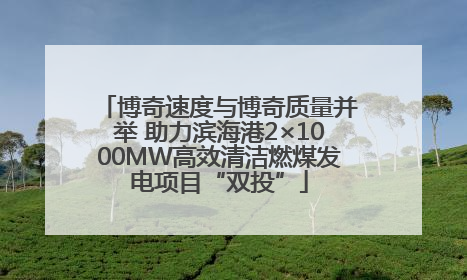 博奇速度与博奇质量并举 助力滨海港2×1000MW高效清洁燃煤发电项目“双投”
