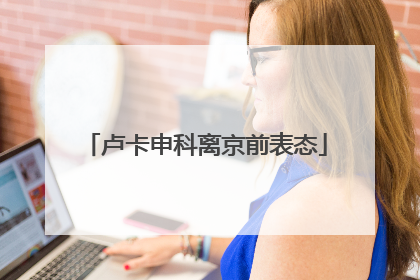 卢卡申科离京前表态