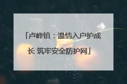 卢峰镇：温情入户护成长 筑牢安全防护网