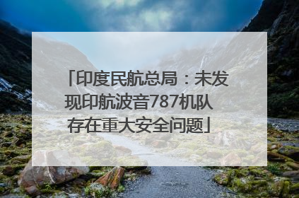 印度民航总局：未发现印航波音787机队存在重大安全问题