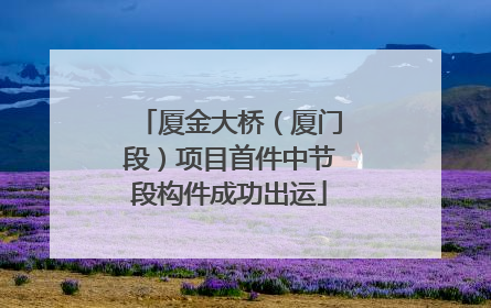 厦金大桥（厦门段）项目首件中节段构件成功出运