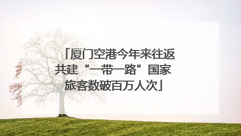 厦门空港今年来往返共建“一带一路”国家旅客数破百万人次