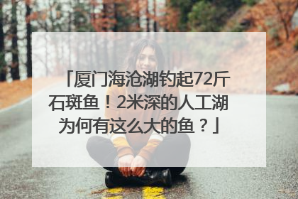 厦门海沧湖钓起72斤石斑鱼！2米深的人工湖为何有这么大的鱼？