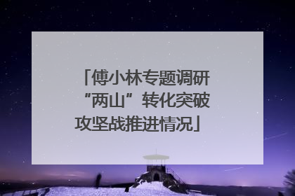 傅小林专题调研“两山”转化突破攻坚战推进情况