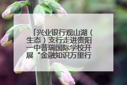 兴业银行观山湖（生态）支行走进贵阳一中普瑞国际学校开展“金融知识万里行”宣传活动