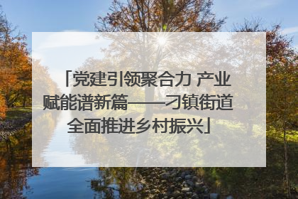 党建引领聚合力 产业赋能谱新篇——刁镇街道全面推进乡村振兴