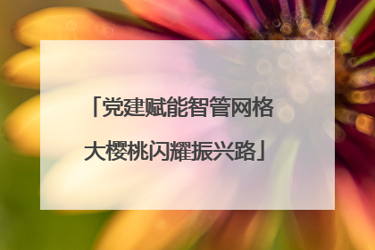 党建赋能智管网格 大樱桃闪耀振兴路
