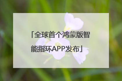 全球首个鸿蒙版智能指环APP发布