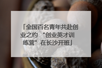 全国百名青年共赴创业之约 “创业英才训练营”在长沙开班