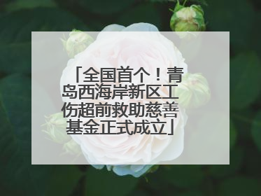 全国首个！青岛西海岸新区工伤超前救助慈善基金正式成立
