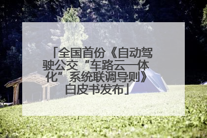 全国首份《自动驾驶公交“车路云一体化”系统联调导则》白皮书发布
