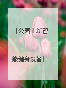公园上新智能健身设备