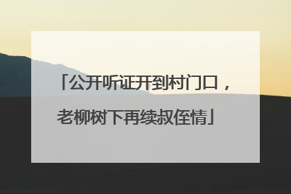 公开听证开到村门口，老柳树下再续叔侄情