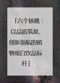 六个核桃：以品质筑基、创新领航的植物蛋白饮品标杆