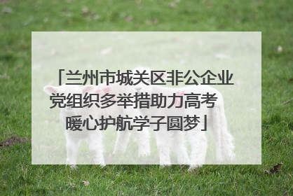 兰州市城关区非公企业党组织多举措助力高考 暖心护航学子圆梦