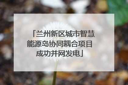 兰州新区城市智慧能源岛协同耦合项目成功并网发电