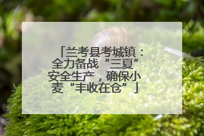 兰考县考城镇：全力备战“三夏”安全生产，确保小麦“丰收在仓”