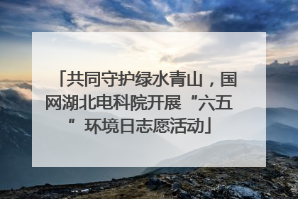 共同守护绿水青山，国网湖北电科院开展“六五”环境日志愿活动
