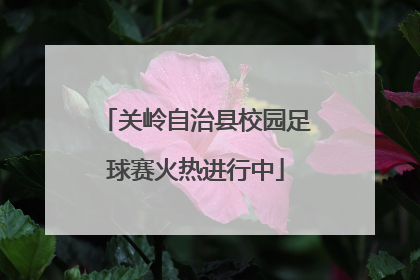 关岭自治县校园足球赛火热进行中