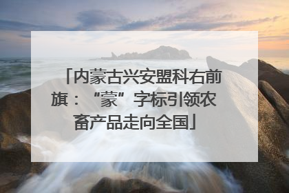 内蒙古兴安盟科右前旗：“蒙”字标引领农畜产品走向全国