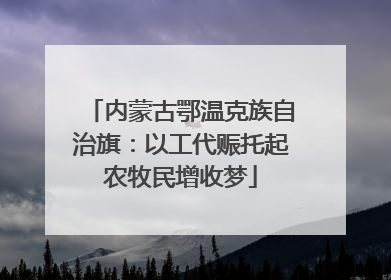 内蒙古鄂温克族自治旗：以工代赈托起农牧民增收梦