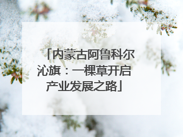 内蒙古阿鲁科尔沁旗：一棵草开启产业发展之路