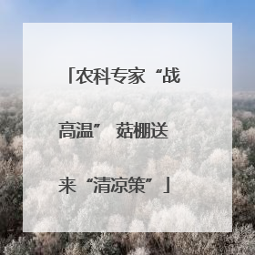 农科专家“战高温” 菇棚送来“清凉策”
