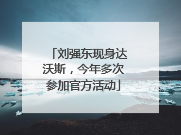 刘强东现身达沃斯，今年多次参加官方活动