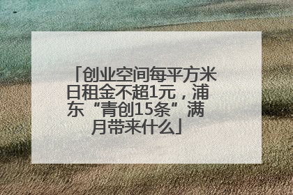 创业空间每平方米日租金不超1元，浦东“青创15条”满月带来什么