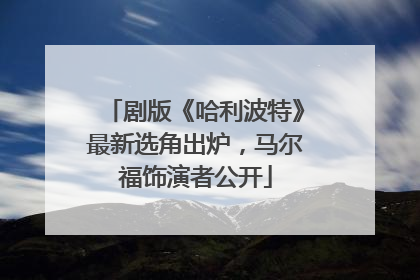 剧版《哈利波特》最新选角出炉，马尔福饰演者公开