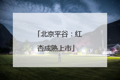 北京平谷：红杏成熟上市