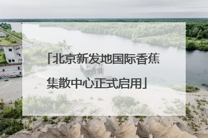 北京新发地国际香蕉集散中心正式启用